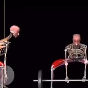 骨格で見るトレーニングの画像