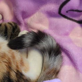 ３月２０日（木）の画像