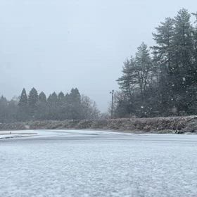 本日（12/22）午後の運営は中止しますの画像