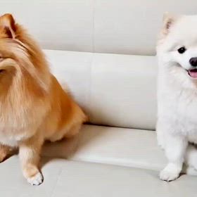 私のリハビリの画像