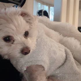 おはようの画像