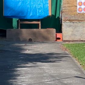 おふくろ説の画像