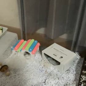 独立についての画像