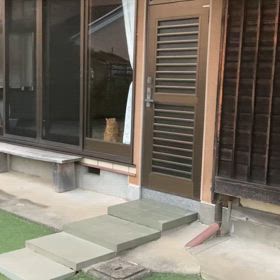 2024/10/19今週のハナの画像