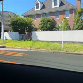 こんな所に馬が……の画像