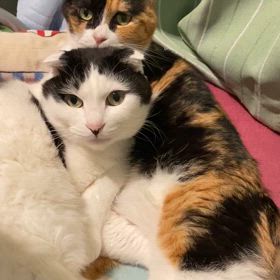 今日も暑くなりそうなの画像