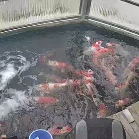 調子良いですの画像