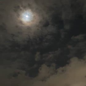 中秋の名月　14番目の月の画像