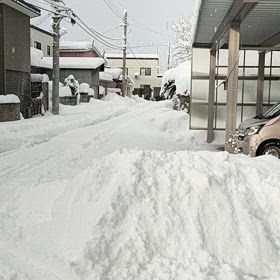 冬すぎるの画像