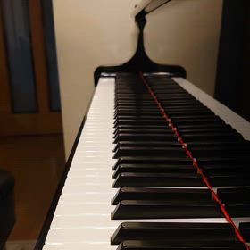 【英ポロ主婦】ときどき「おしとやか曲」も弾いてみるとするの画像