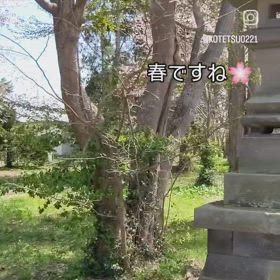 角田神社の春の画像