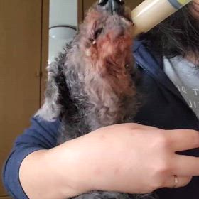 クブの時の介護の画像