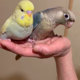 何度も見ちゃう。の画像