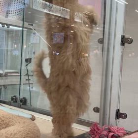 ずぅーと立ちっぱ。の画像