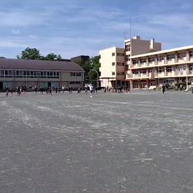 6/28学年別インターバル①の画像