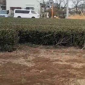 中間点（４区動画）③の画像