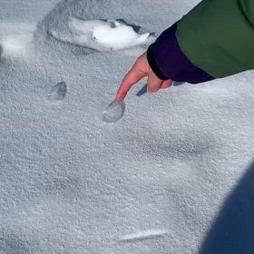 凍るシャボン玉の画像