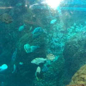 日曜日出勤3回目。の画像