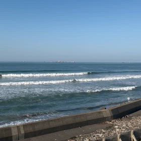 シカッティの画像