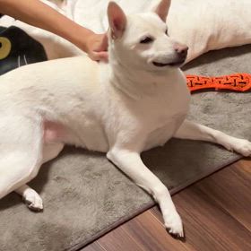 今日の出来事の画像