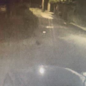 母親が、2頭共放して散歩。Σ('◉⌓◉’)の画像