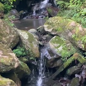 ちょい早朝の瀧行の画像