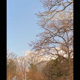 眠たくて、、、歌いたくて、、、♡   2024年31本の画像