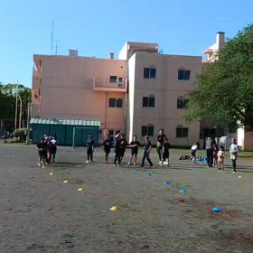 5/3 基本動作（ボール投げの場）④の画像