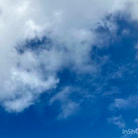 今日は秋の味覚の画像