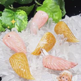 ✨天使の羽✨の画像