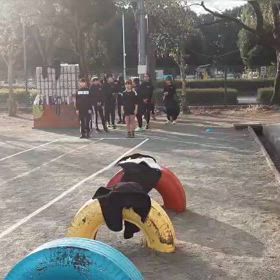 越谷大会リレー選考会（女子）⑥の画像