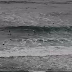 放課後サーフの画像