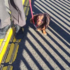 外でグループレッスンの画像