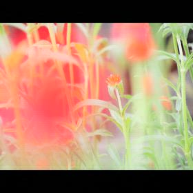 徒然に、楽しんで、リラックスです　♡の画像