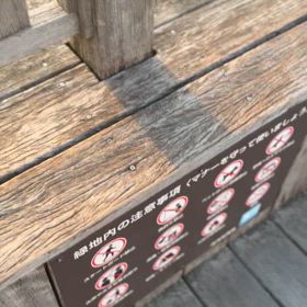 感謝丸結びな旅①の画像
