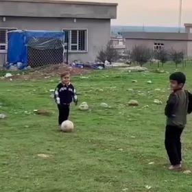 日本では置き場所から指導しなければならないの画像