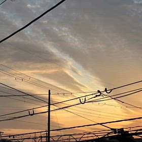 夕焼の画像