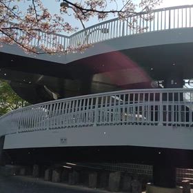 ワァ大変！私の部屋が~の画像