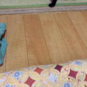 2025/10/14ろくの世界の画像