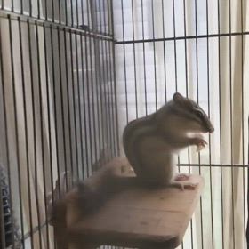 ドライフルーツの画像