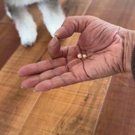 おやつチャレンジの画像