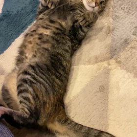 ムカつく！！の画像