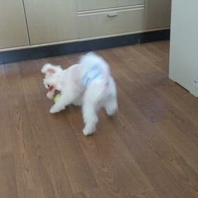 2024年7月19日金曜日の画像