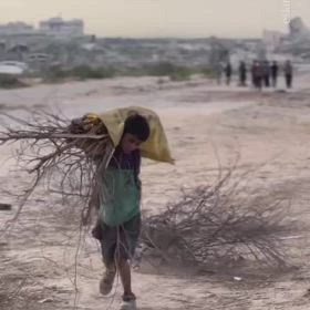 シオニストのガザ管理に立ち向うパレスチナ抵抗勢力の画像