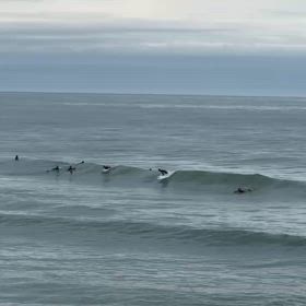 巣から旅立つの画 像