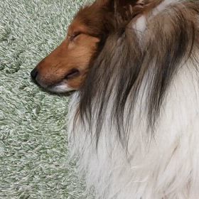 ストーカー現る？！の画像