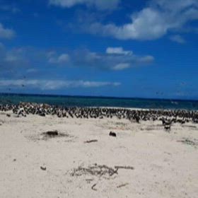 5年ぶりの海外最終回の画像