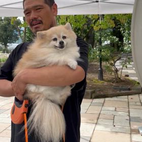 クルちゃん、すずしいね 動画の画像