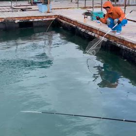 釣り堀の画像