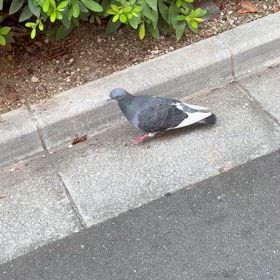 お前もかの画像